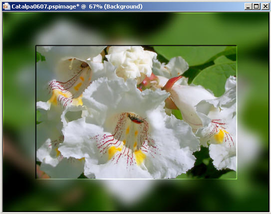 Frame14a
