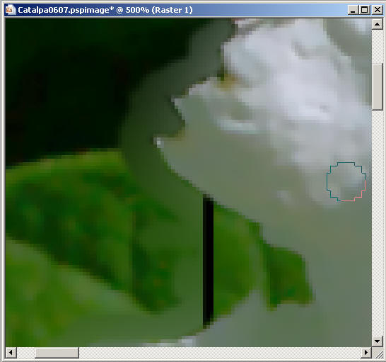 Frame23