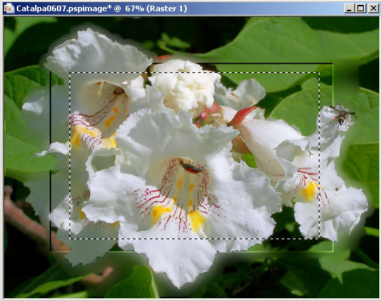 Frame25