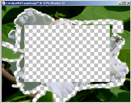 Frame26