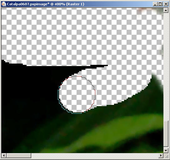 Frame28