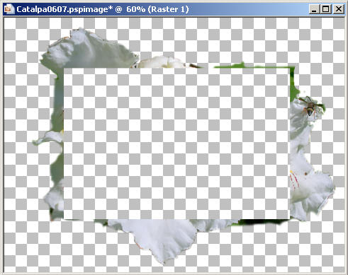 Frame29
