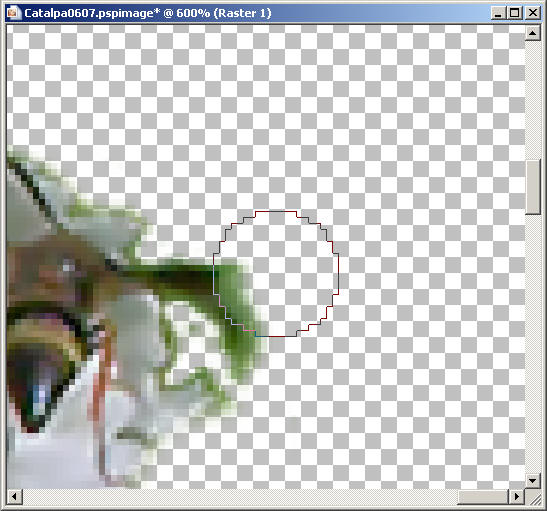 Frame31