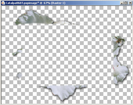 Frame37