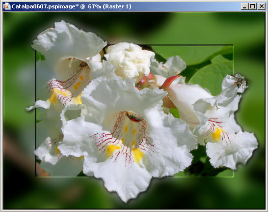 Frame38
