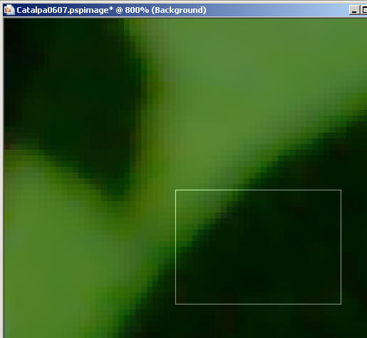 Frame7a