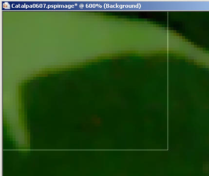 Frame8a