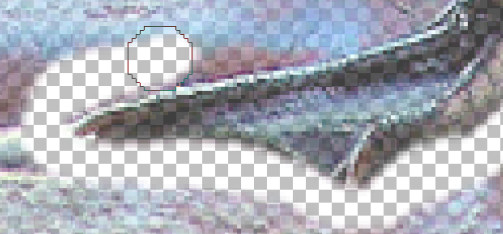 Image32